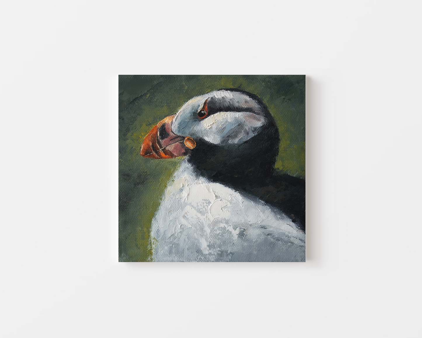 Puffin Alaska Oil Painting CANVAS PRINT