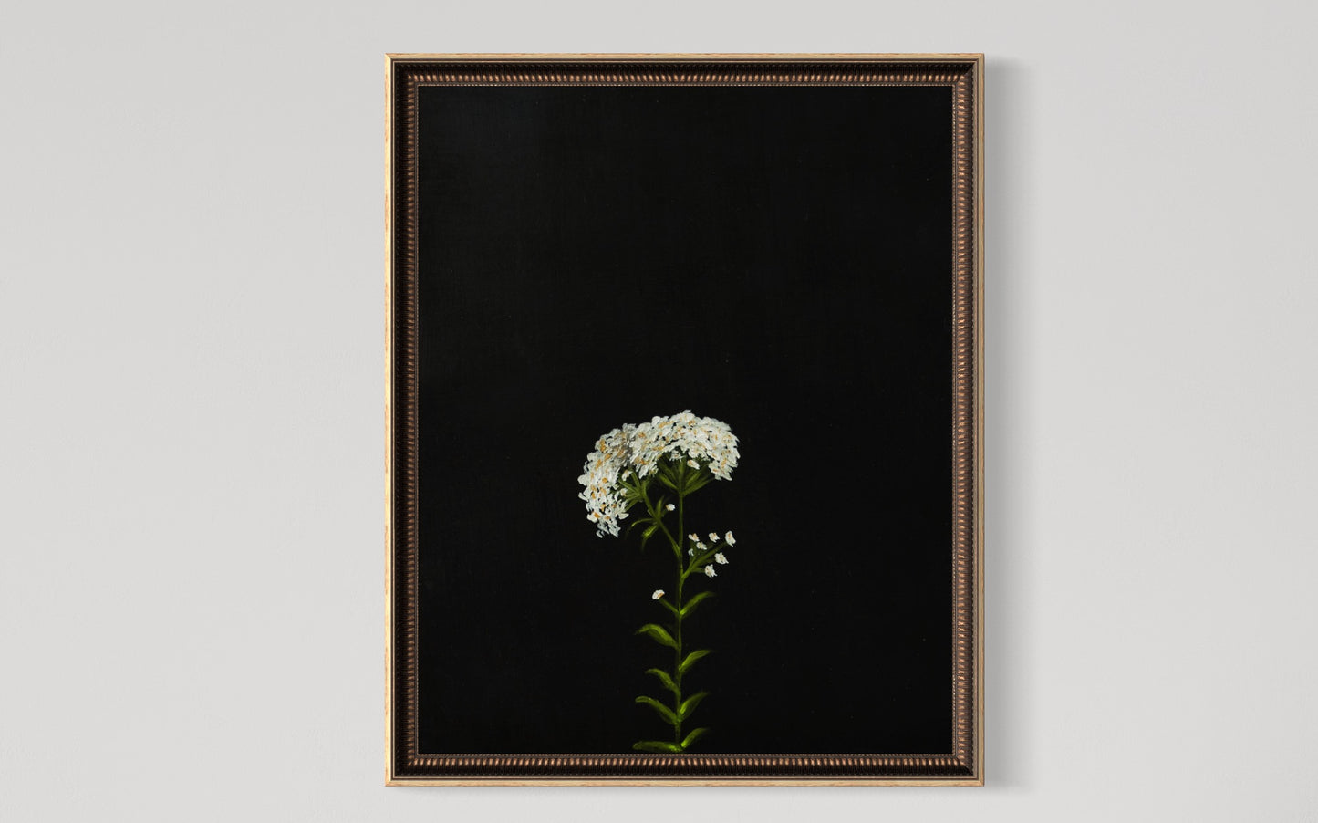 Yarrow Fine Art Print