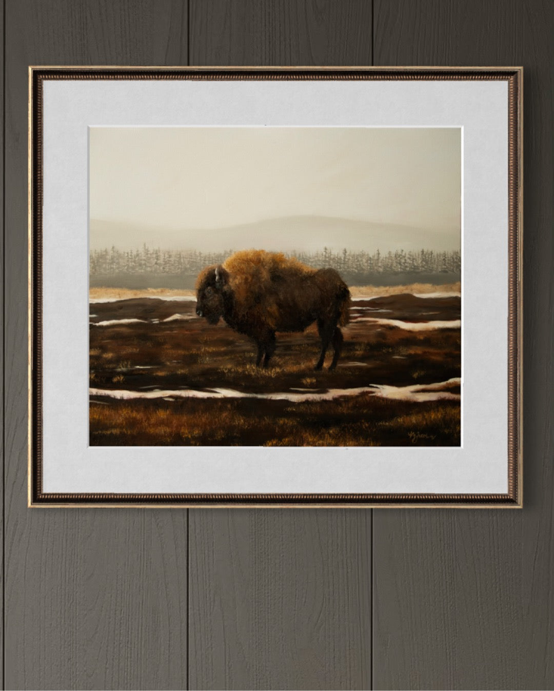 Bison in the Snow Fine Art Print