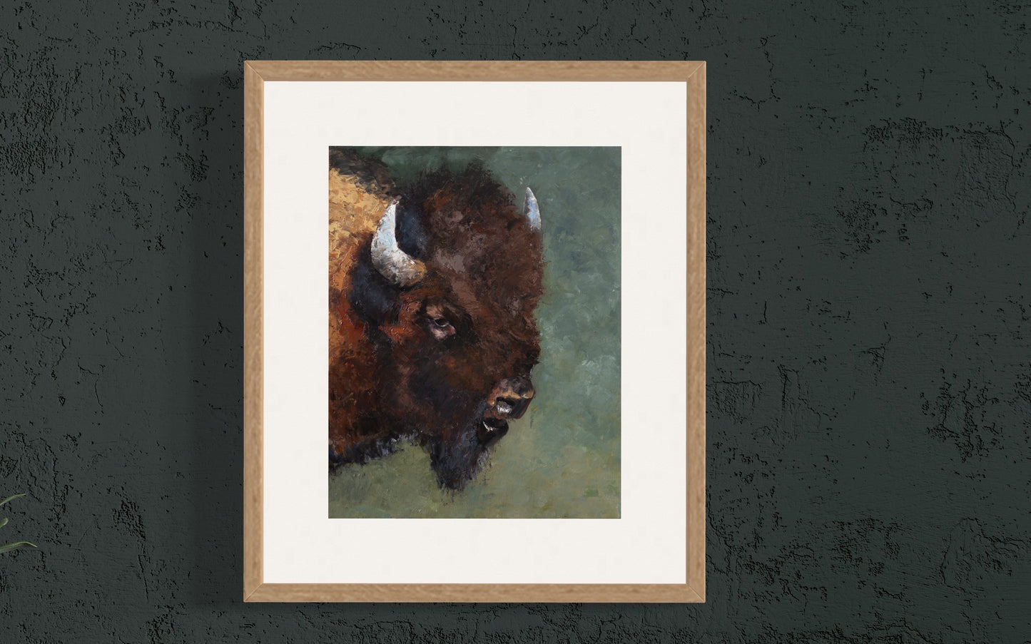 Bison Alaska Fine Art Print