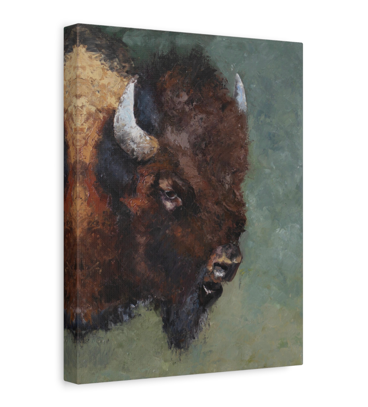 The Bison CANVAS PRINT