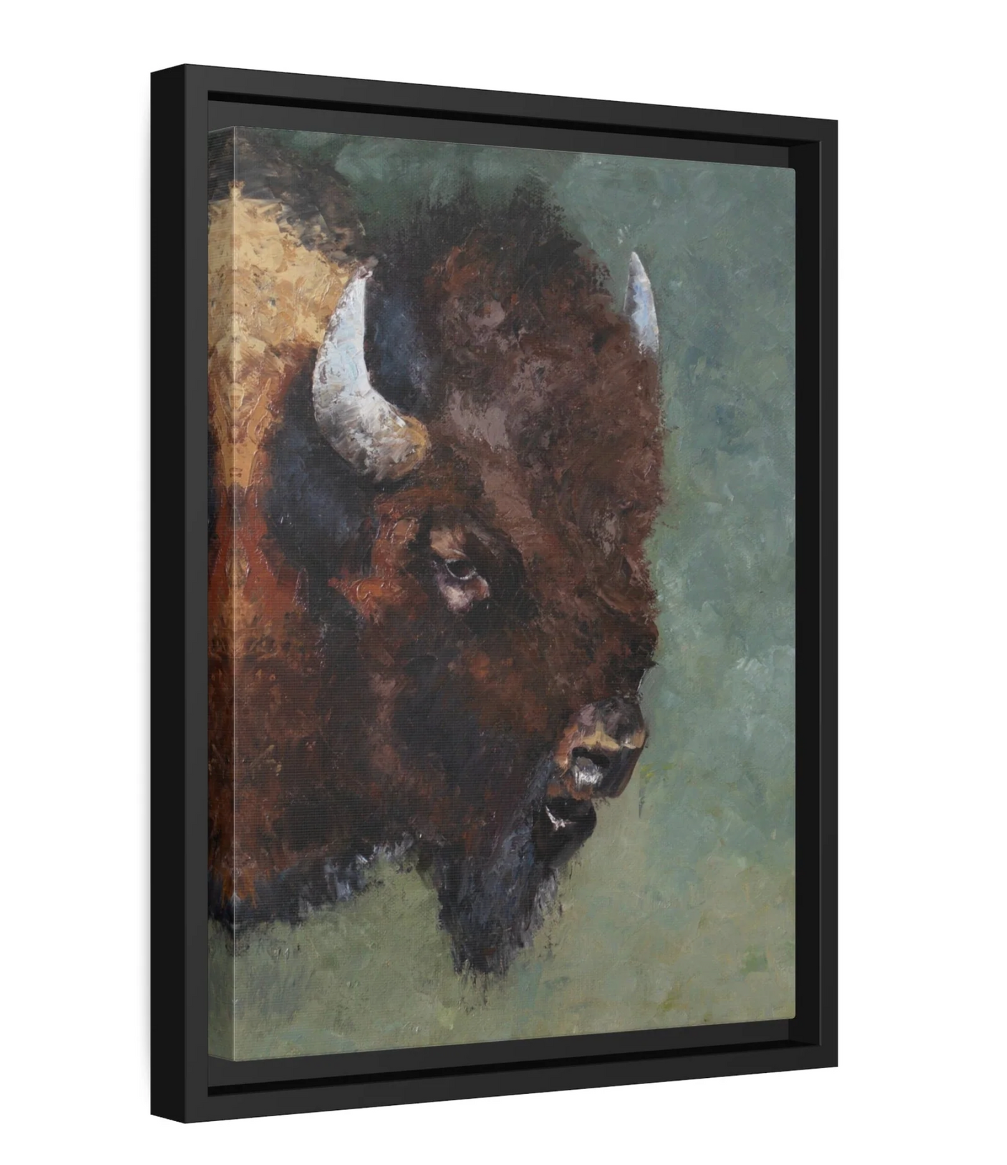 The Bison CANVAS PRINT