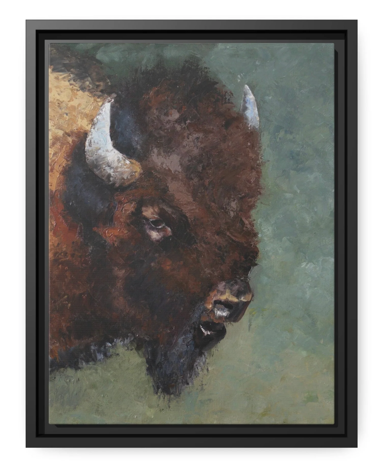 The Bison CANVAS PRINT