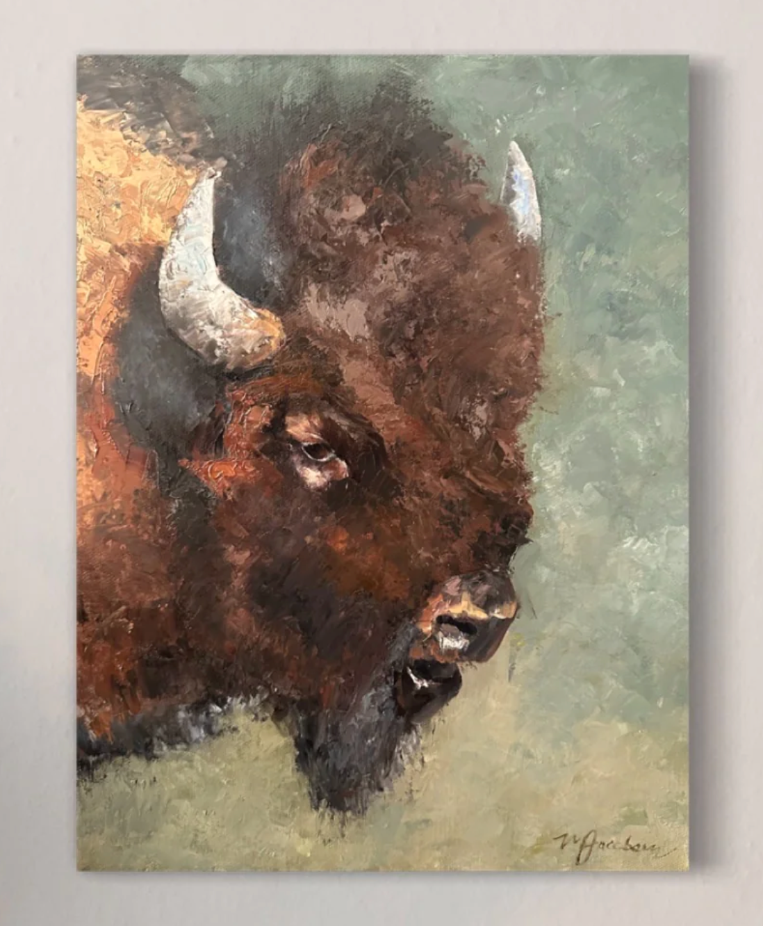 The Bison CANVAS PRINT