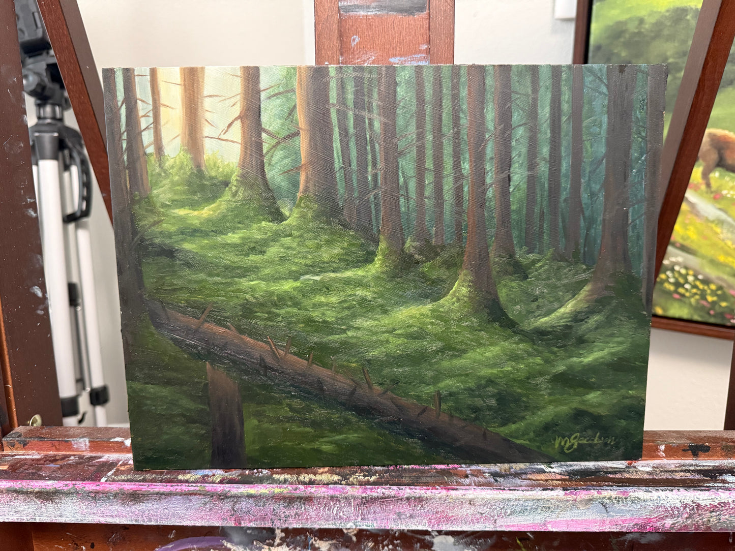 Sunlit Forest Original Oil Painting