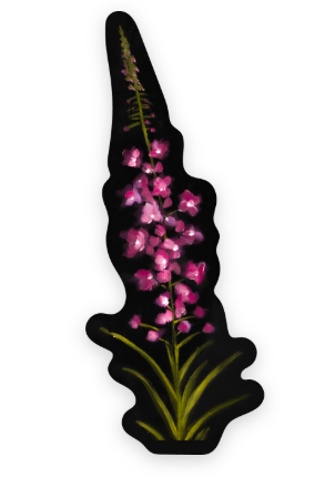 Fireweed Vinyl Sticker