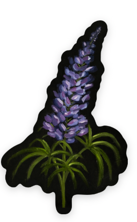 Lupine Vinyl Sticker