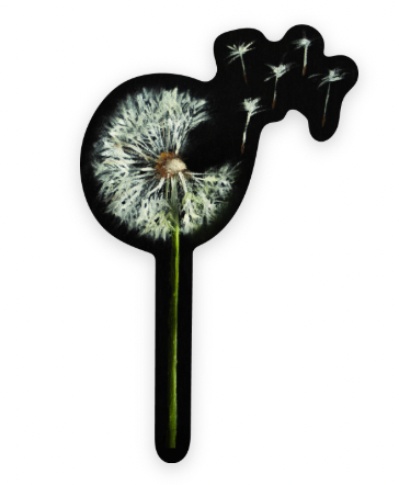 Dandelion Vinyl Sticker